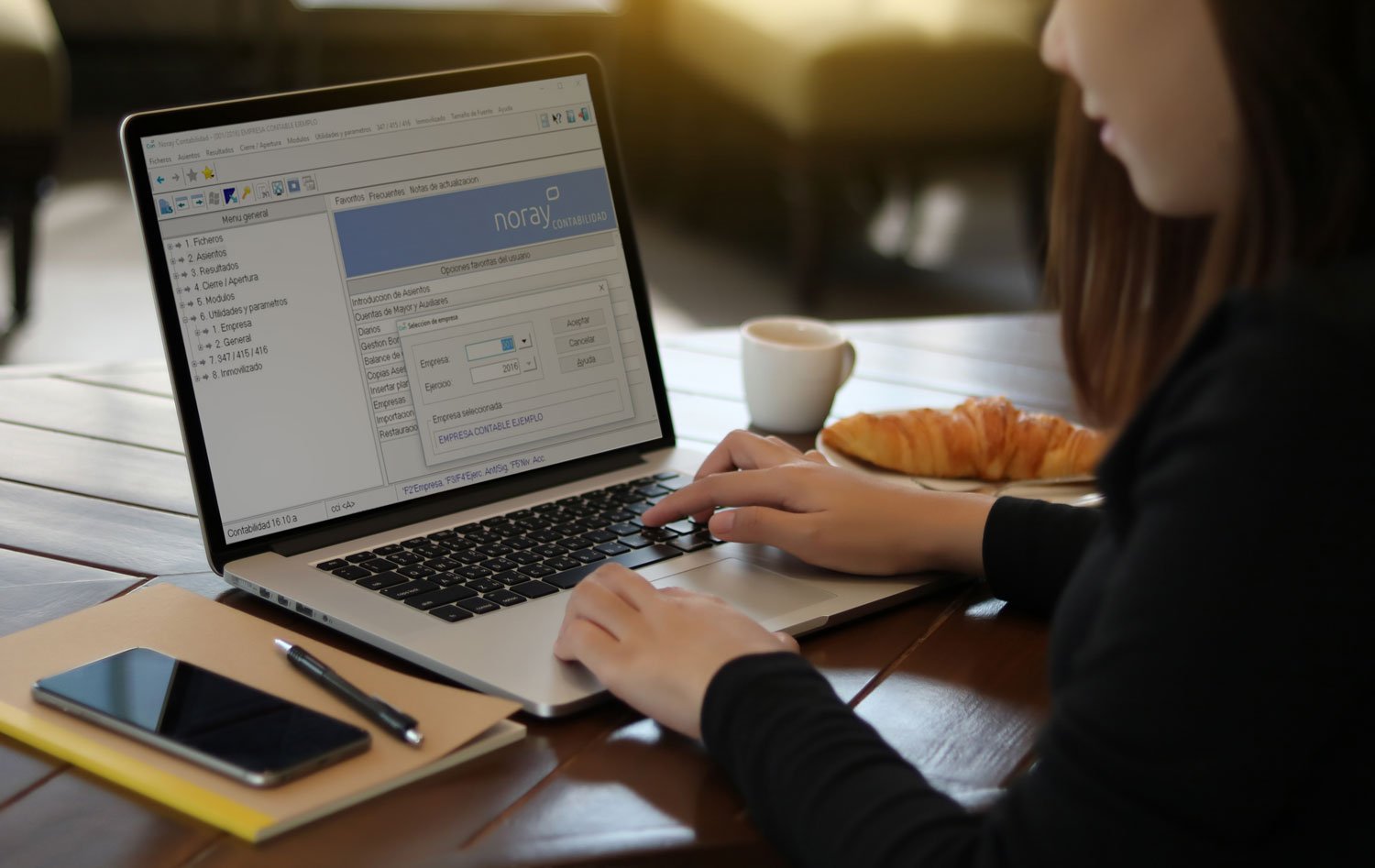 noray-contabilidad-usando-portatil